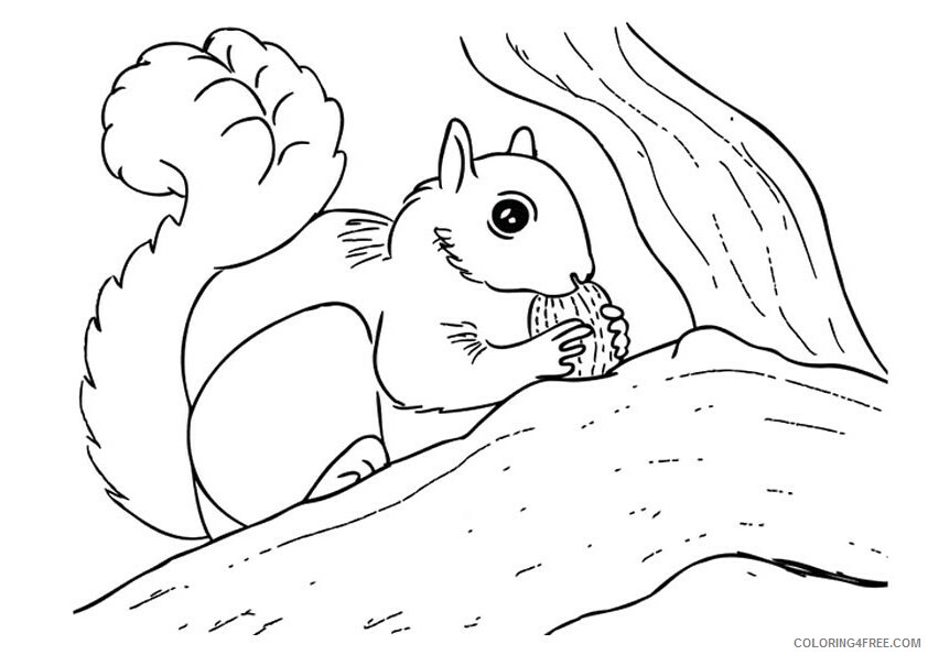 Squirrel Coloring Sheets Animal Coloring Pages Printable 2021 4328 Coloring4free