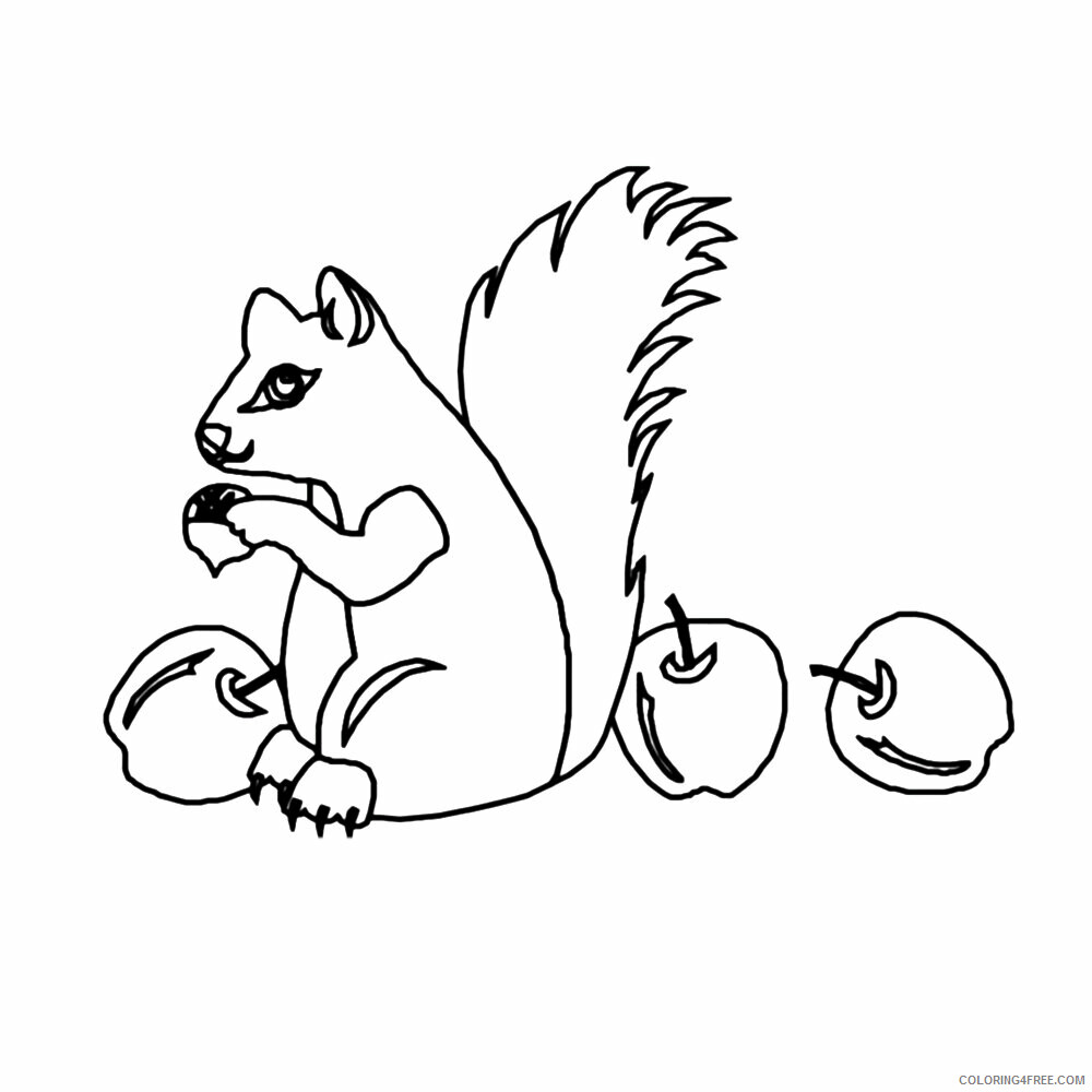 Squirrel Coloring Sheets Animal Coloring Pages Printable 2021 4333 Coloring4free
