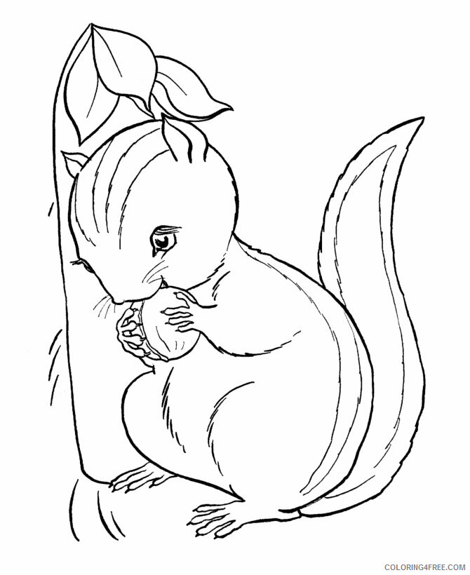 Squirrel Coloring Sheets Animal Coloring Pages Printable 2021 4336 Coloring4free