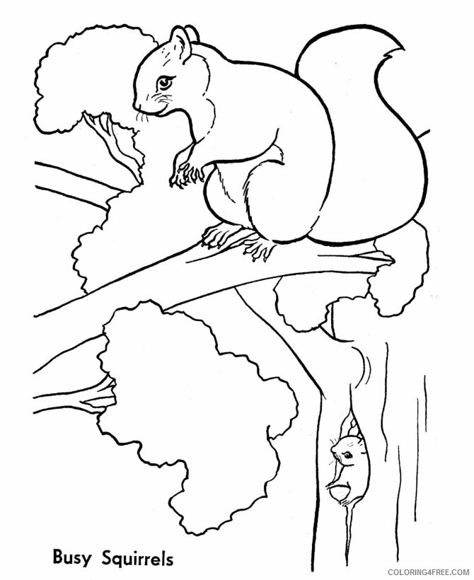 Squirrel Coloring Sheets Animal Coloring Pages Printable 2021 4338 Coloring4free