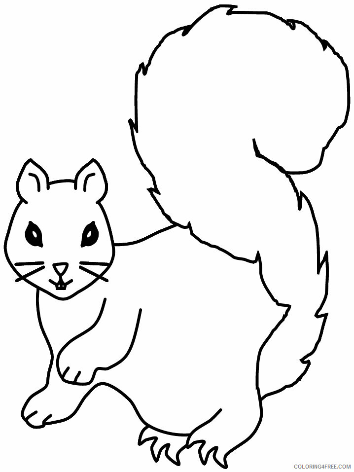 Squirrel Coloring Sheets Animal Coloring Pages Printable 2021 4342 Coloring4free