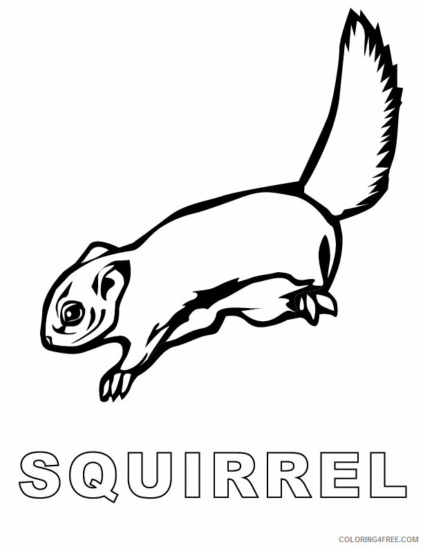 Squirrel Coloring Sheets Animal Coloring Pages Printable 2021 4344 Coloring4free