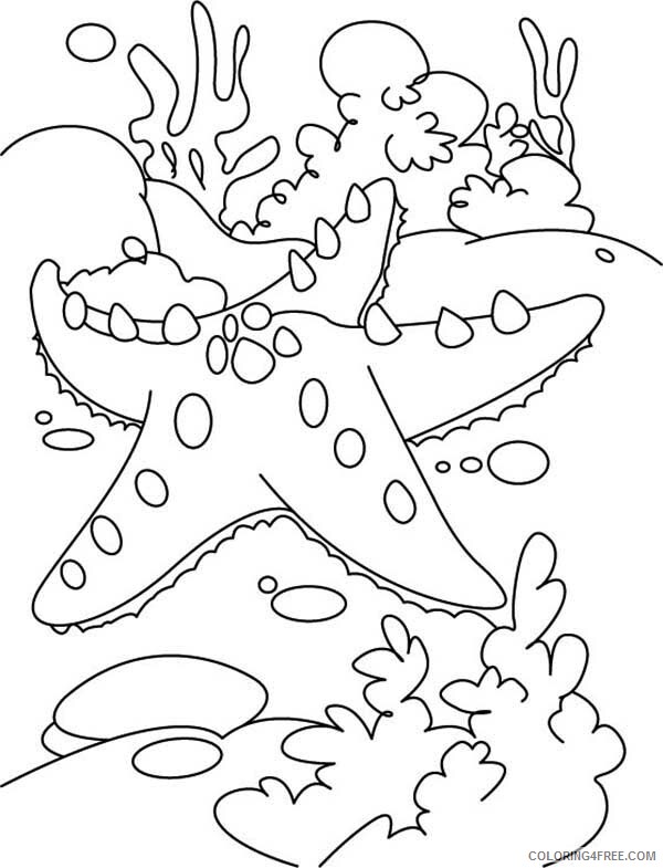 Starfish Coloring Pages Animal Printable Sheets Small Starfish 2021 4697 Coloring4free