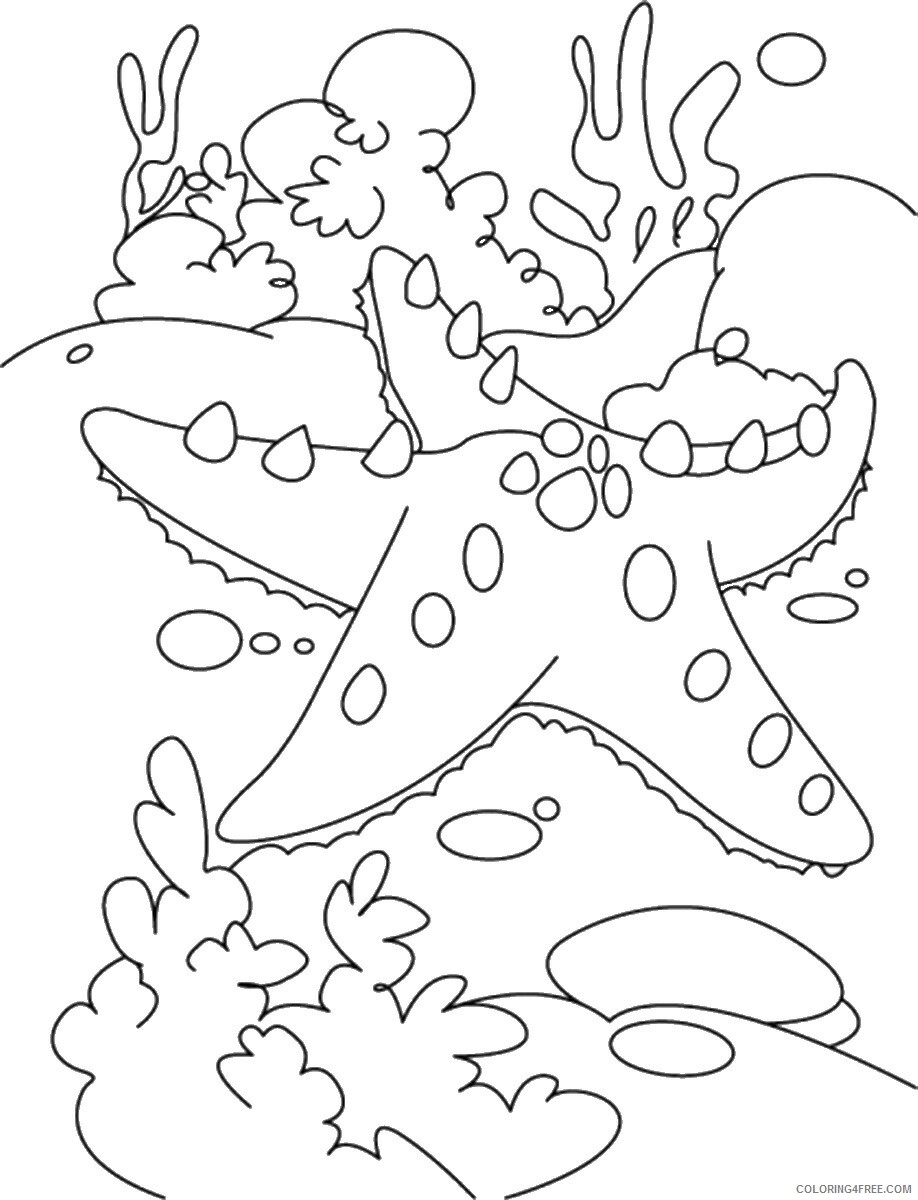 Starfish Coloring Pages Animal Printable Sheets starfish_cl_07 2021 4700 Coloring4free