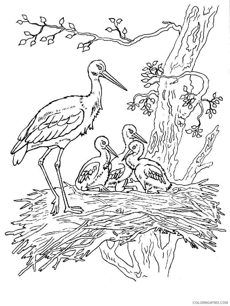 Stork Coloring Pages Animal Printable Sheets Stork birds 1 2021 4711 Coloring4free