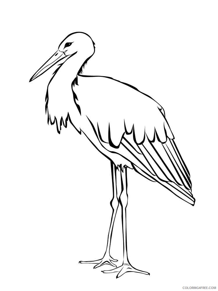 Stork Coloring Pages Animal Printable Sheets Stork birds 6 2021 4716 Coloring4free