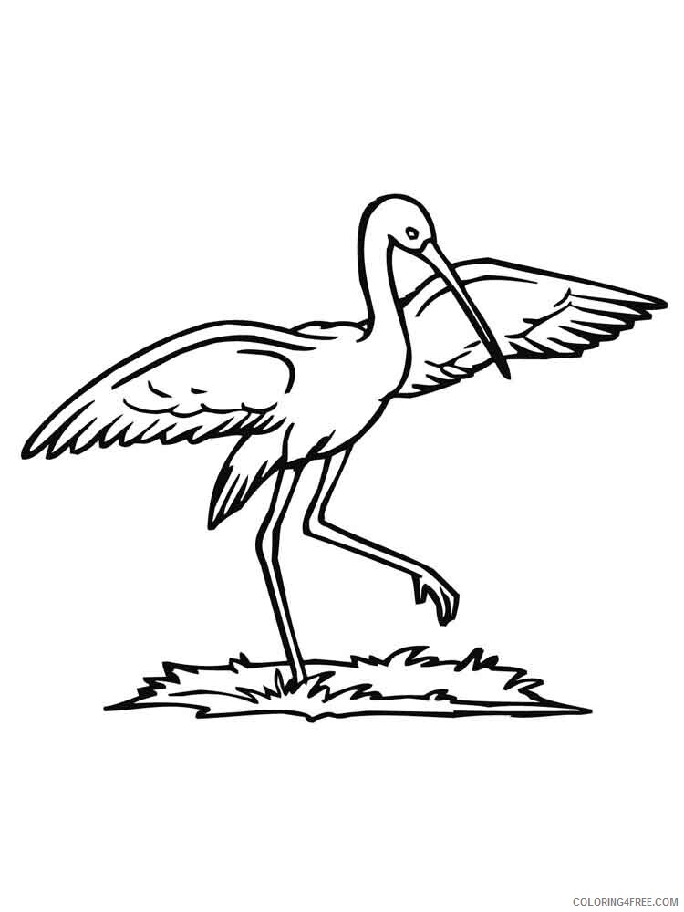Stork Coloring Pages Animal Printable Sheets Stork birds 8 2021 4718 Coloring4free