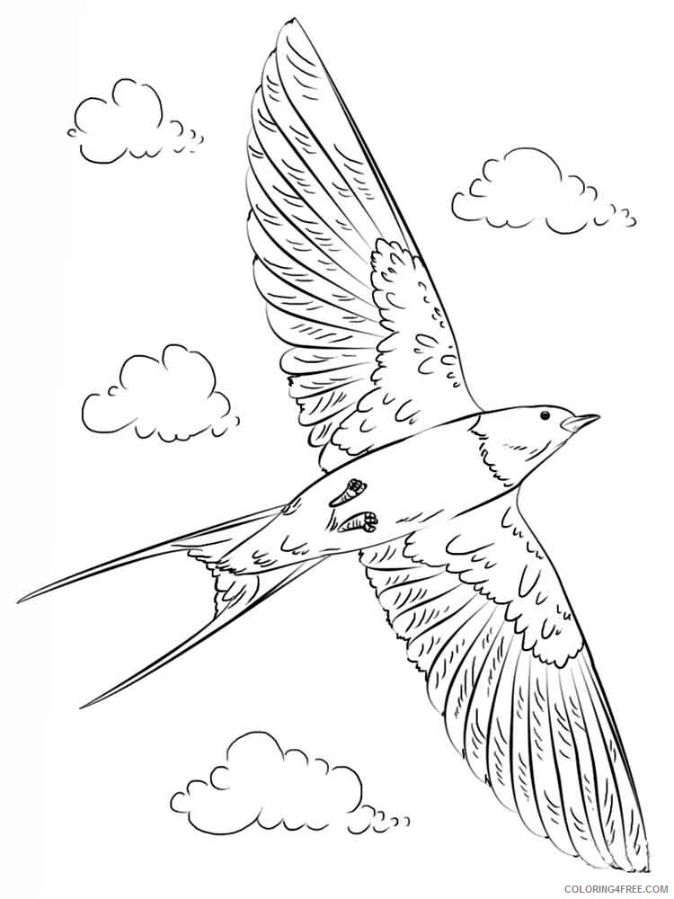 Swallows Coloring Pages Animal Printable Sheets swallow birds 2 2021 4725 Coloring4free