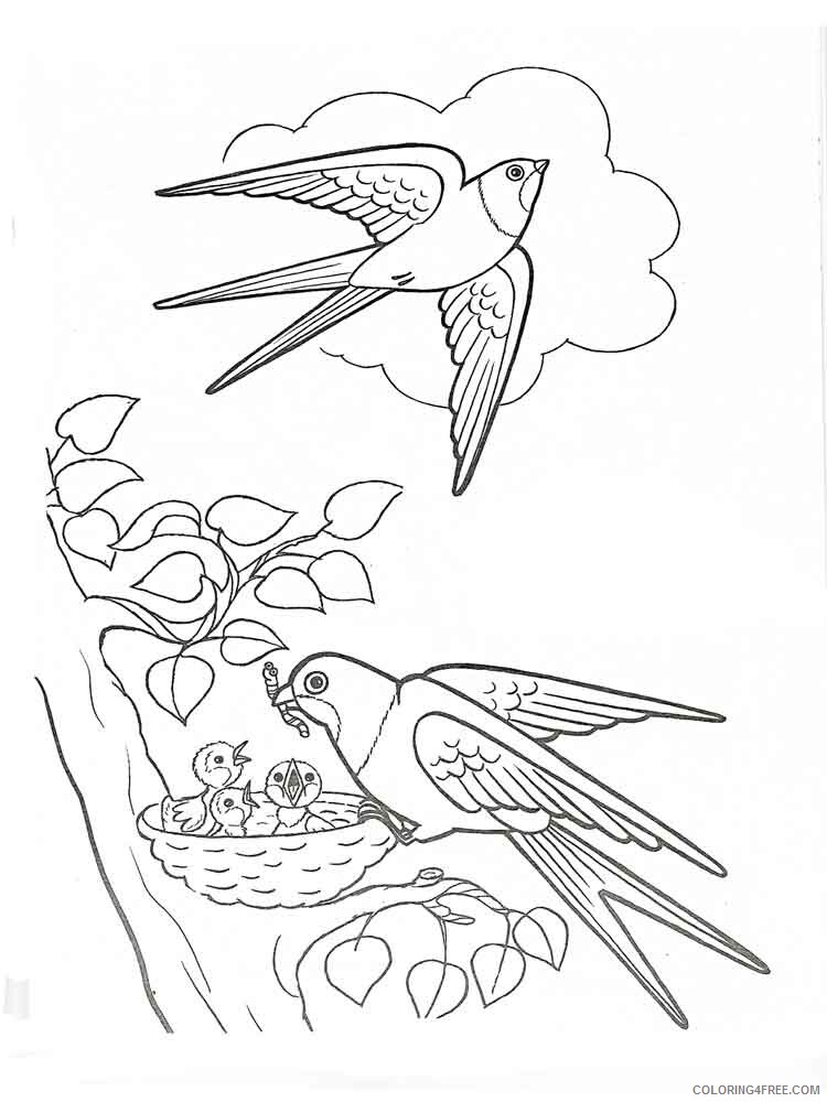 Swallows Coloring Pages Animal Printable Sheets swallow birds 5 2021 4726 Coloring4free