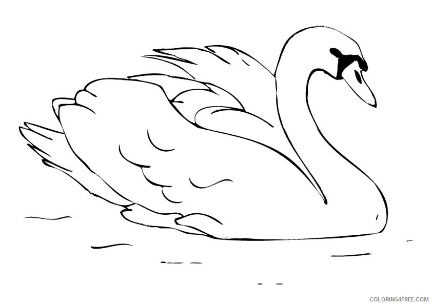Swan Coloring Sheets Animal Coloring Pages Printable 2021 4348 Coloring4free