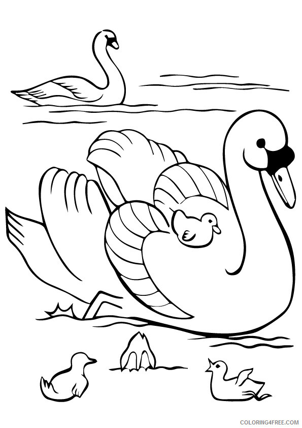 Swan Coloring Sheets Animal Coloring Pages Printable 2021 4352 Coloring4free