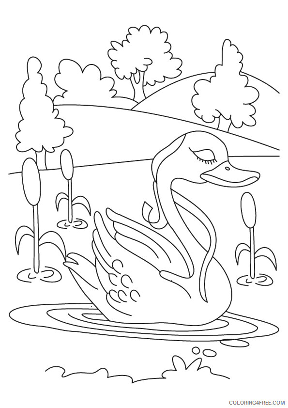 Swan Coloring Sheets Animal Coloring Pages Printable 2021 4354 Coloring4free