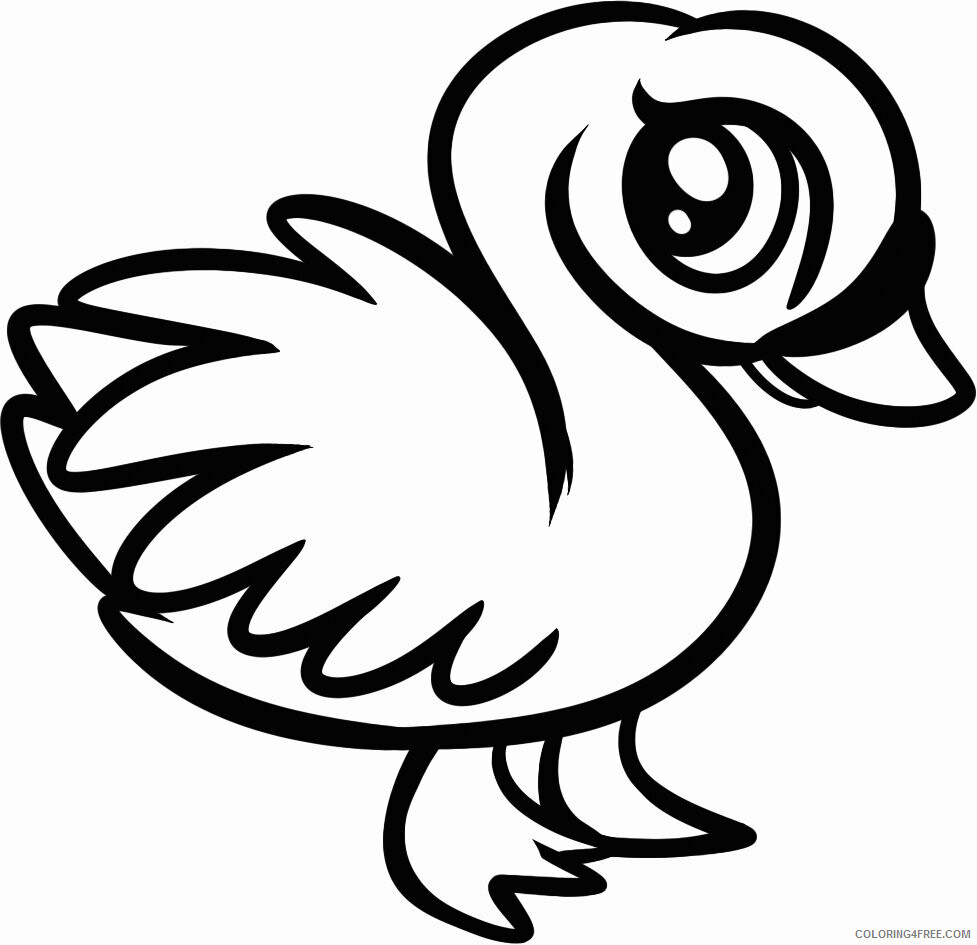 Swans Coloring Pages Animal Printable Sheets Baby Animal Swan 2021 4730 Coloring4free