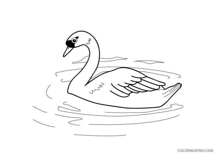 Swans Coloring Pages Animal Printable Sheets Swan 2 2021 4739 Coloring4free