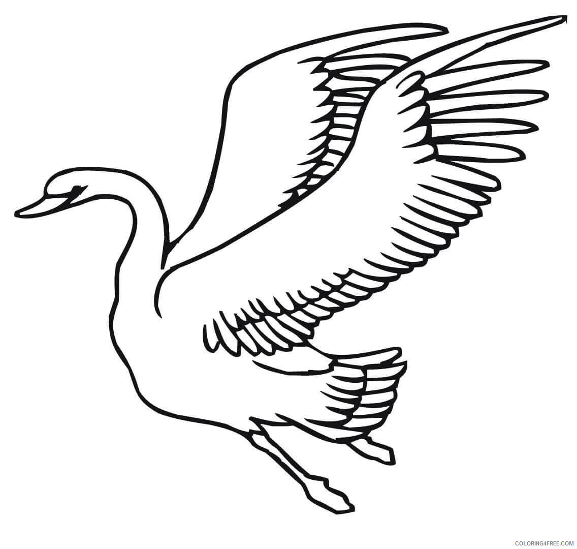 Swans Coloring Pages Animal Printable Sheets Swan Flying 2021 4740 Coloring4free
