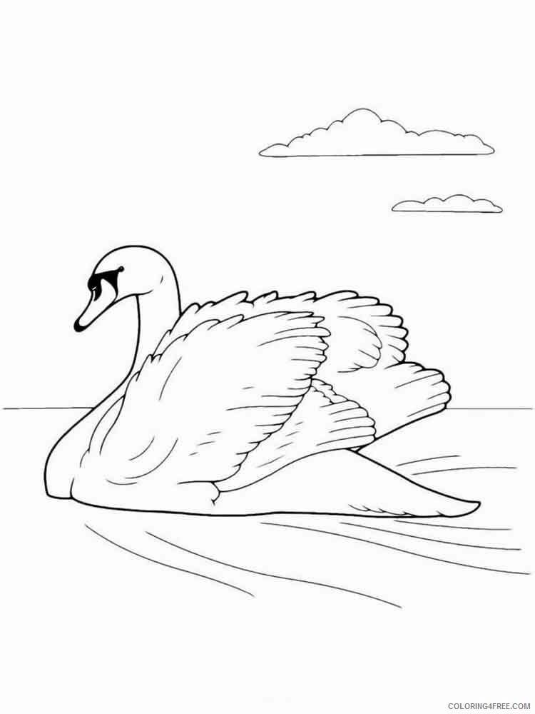 Swans Coloring Pages Animal Printable Sheets Swans birds 2 2021 4742 Coloring4free