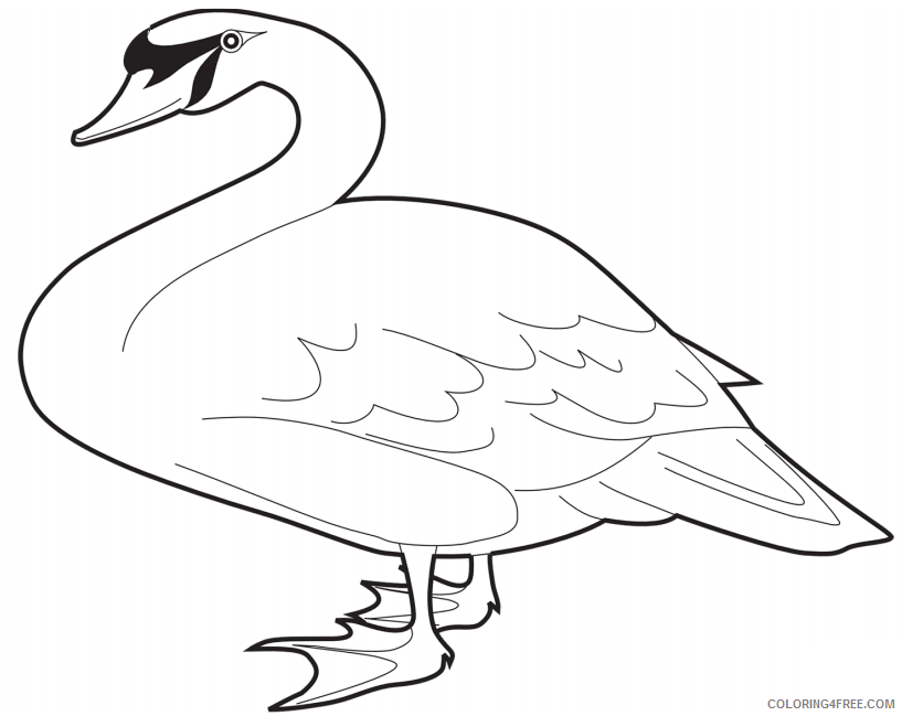 Swans Coloring Pages Animal Printable Sheets swan 2 2021 4736 Coloring4free