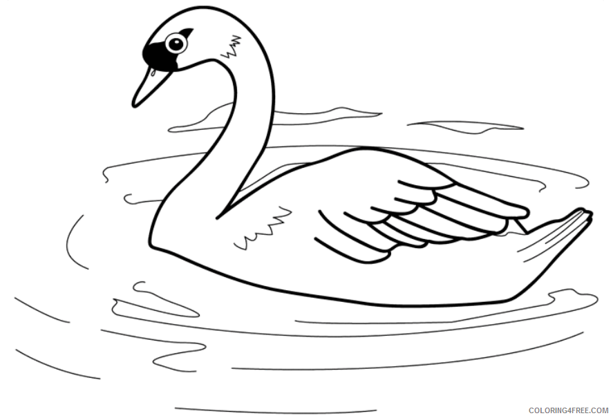 Swans Coloring Pages Animal Printable Sheets swan 2021 4735 Coloring4free