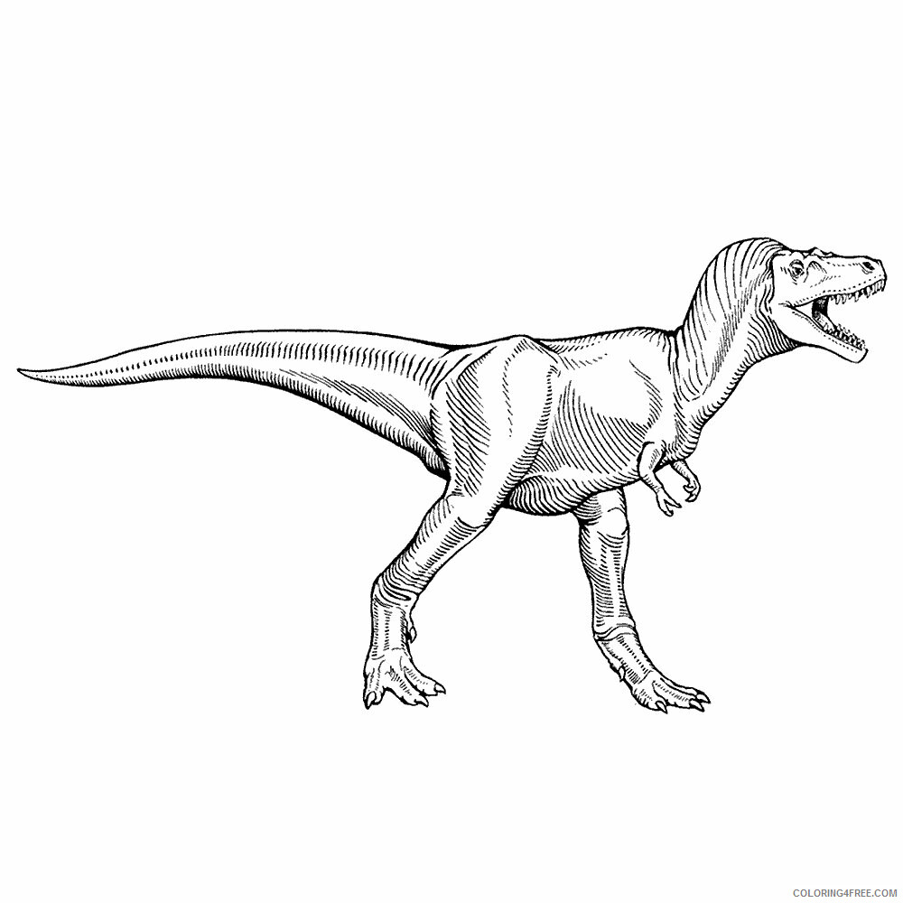 T Rex Coloring Sheets Animal Coloring Pages Printable 2021 4443 Coloring4free