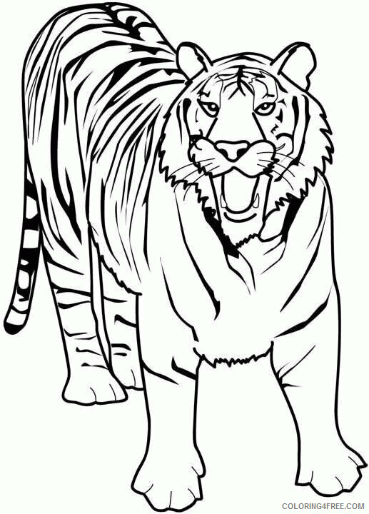 Tiger Coloring Pages Animal Printable Sheets Bengal Tiger 2021 4755 Coloring4free