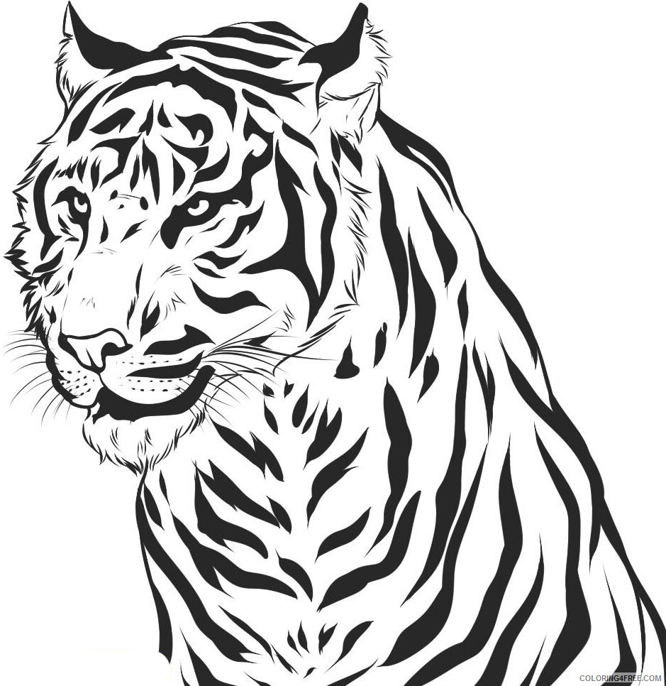 Tiger Coloring Pages Animal Printable Sheets Tiger Head 2021 4791 Coloring4free