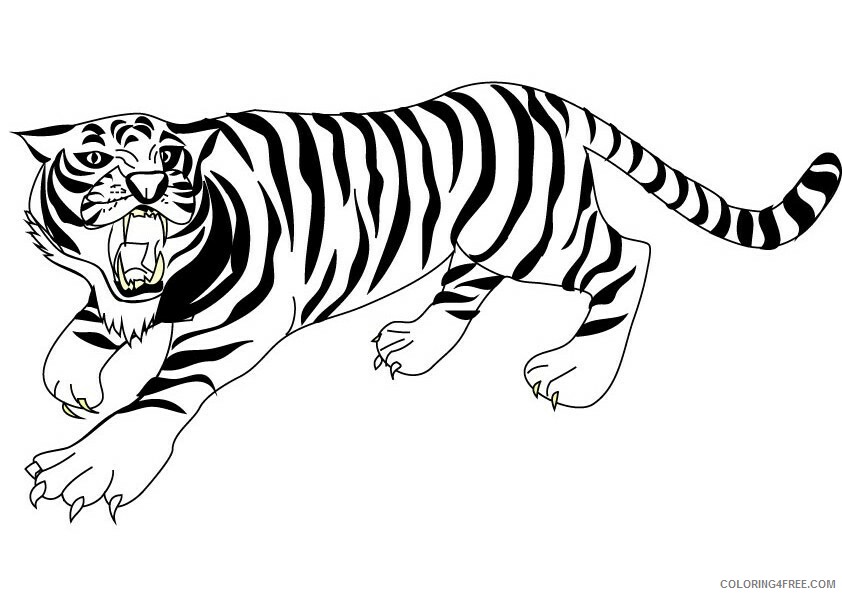 Tiger Coloring Pages Animal Printable Sheets Tiger Realistic 2021 4787 Coloring4free