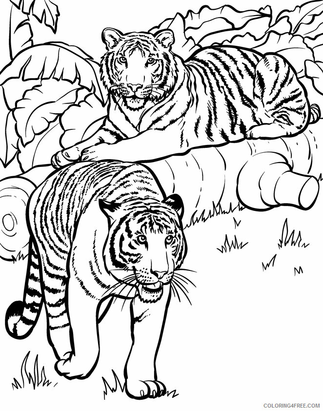 Tiger Coloring Pages Animal Printable Sheets Wild Animal Tigers 2021 4794 Coloring4free