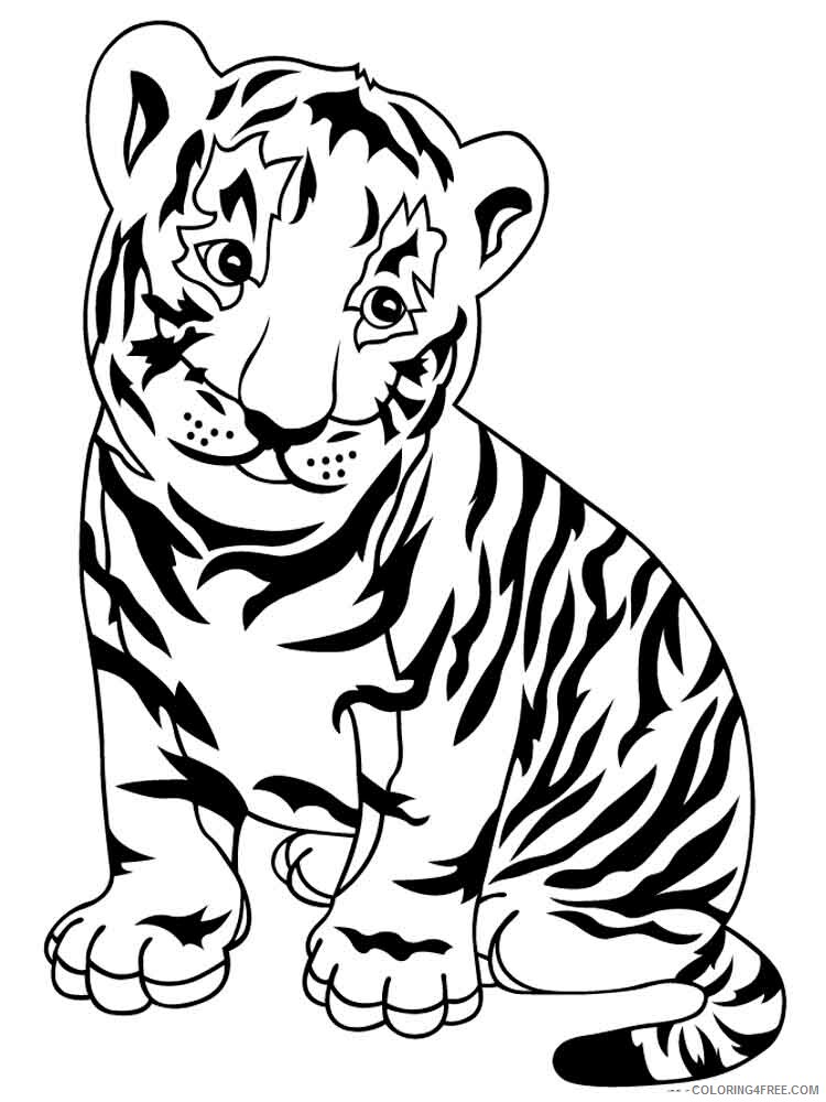 Tiger Coloring Pages Animal Printable Sheets animals tiger 5 2021 4762 Coloring4free