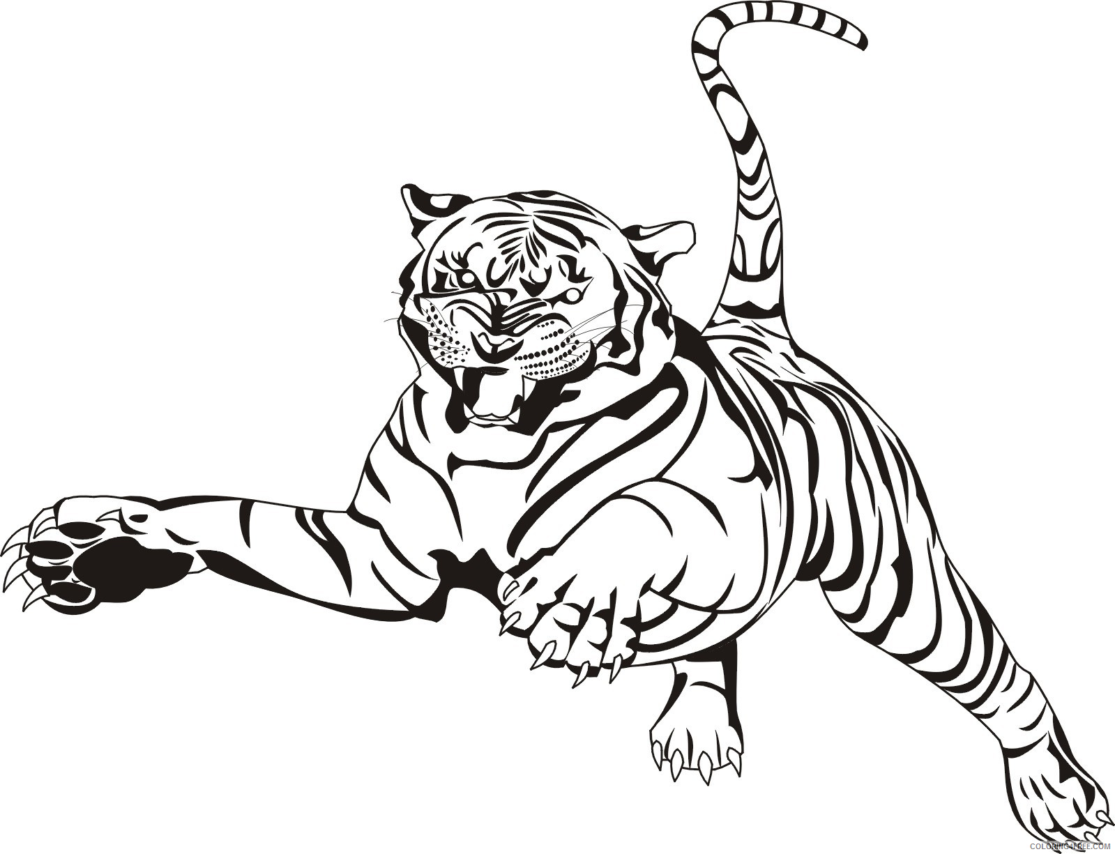 Tiger Coloring Pages Animal Printable Sheets saber tooth tiger 2021 4775 Coloring4free