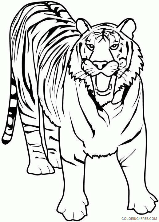 Tiger Coloring Pages Animal Printable Sheets tiger VtbuP 2021 4786 Coloring4free