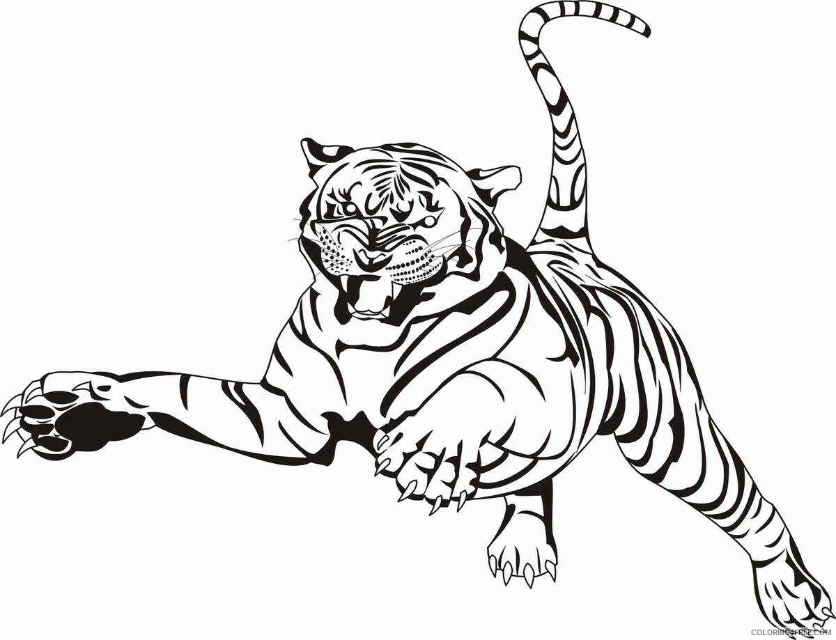 Tiger Coloring Pages Animal Printable Sheets tiger_cl_20 2021 4780 Coloring4free