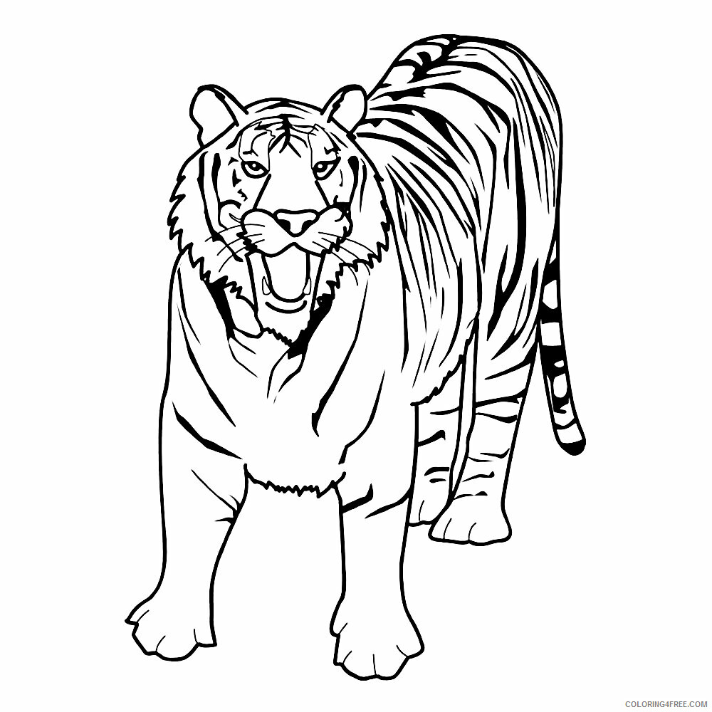 Tiger Coloring Sheets Animal Coloring Pages Printable 2021 4367 Coloring4free