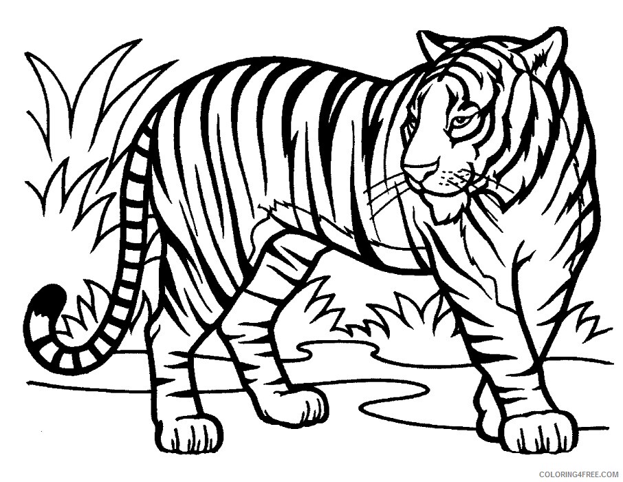 Tiger Coloring Sheets Animal Coloring Pages Printable 2021 4369 Coloring4free