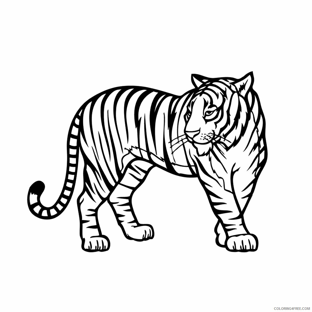 Tiger Coloring Sheets Animal Coloring Pages Printable 2021 4375 Coloring4free