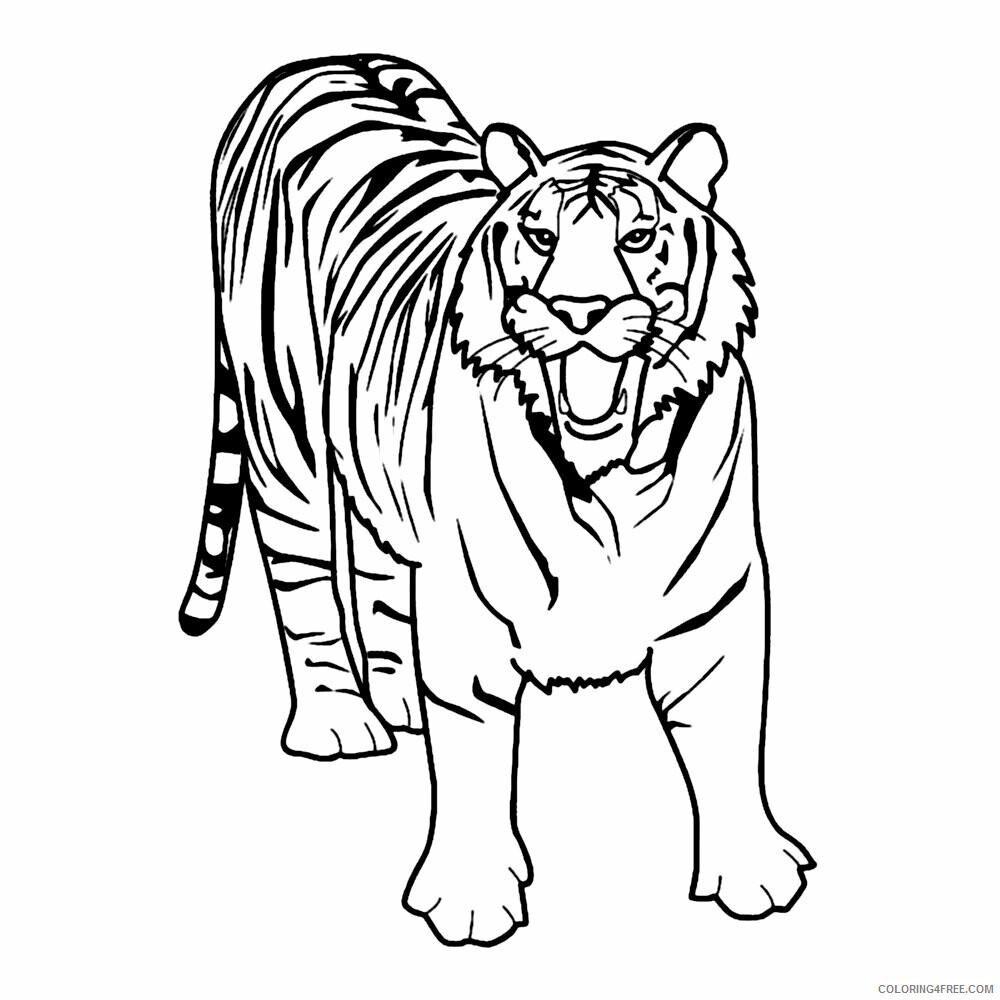 Tiger Coloring Sheets Animal Coloring Pages Printable 2021 4376 Coloring4free