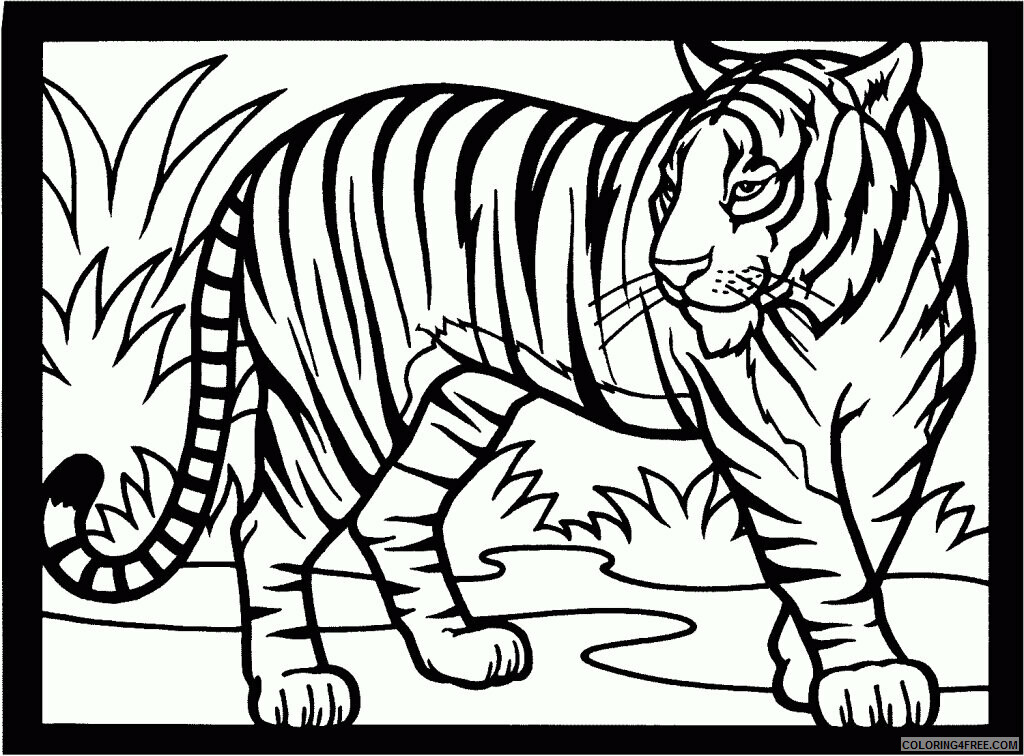 Tiger Coloring Sheets Animal Coloring Pages Printable 2021 4384 Coloring4free