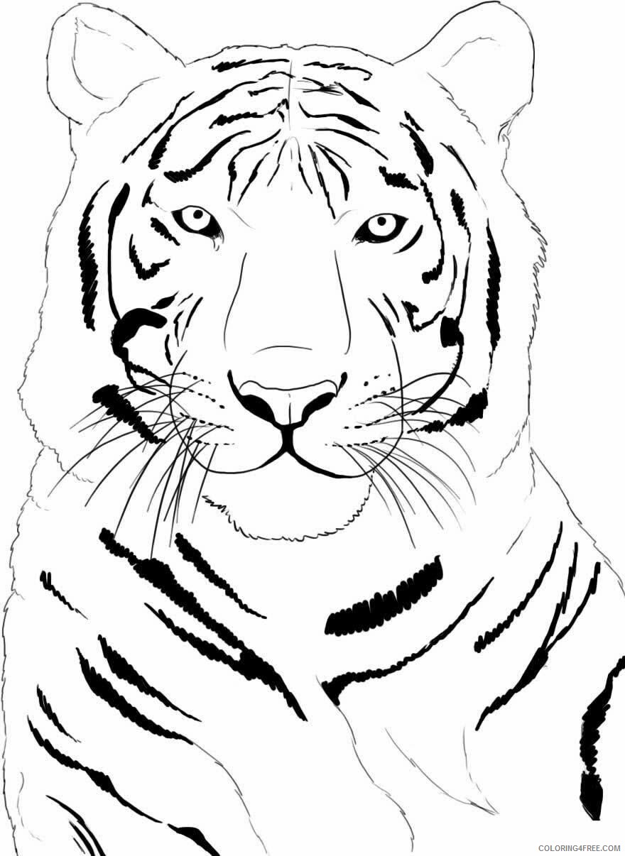 Tiger Coloring Sheets Animal Coloring Pages Printable 2021 4386 Coloring4free