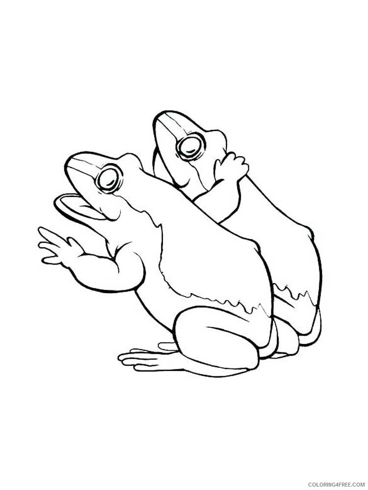 Toad Coloring Pages Animal Printable Sheets Toad 4 2021 4797 Coloring4free