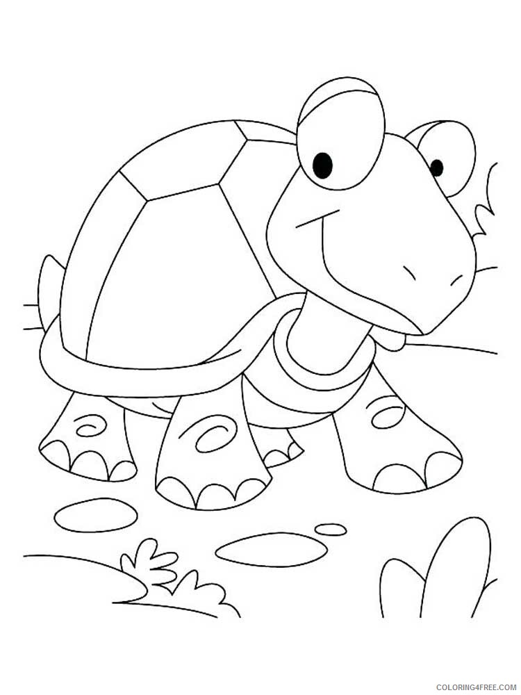 Tortoise Coloring Pages Animal Printable Sheets Tortoise 12 2021 4806 Coloring4free