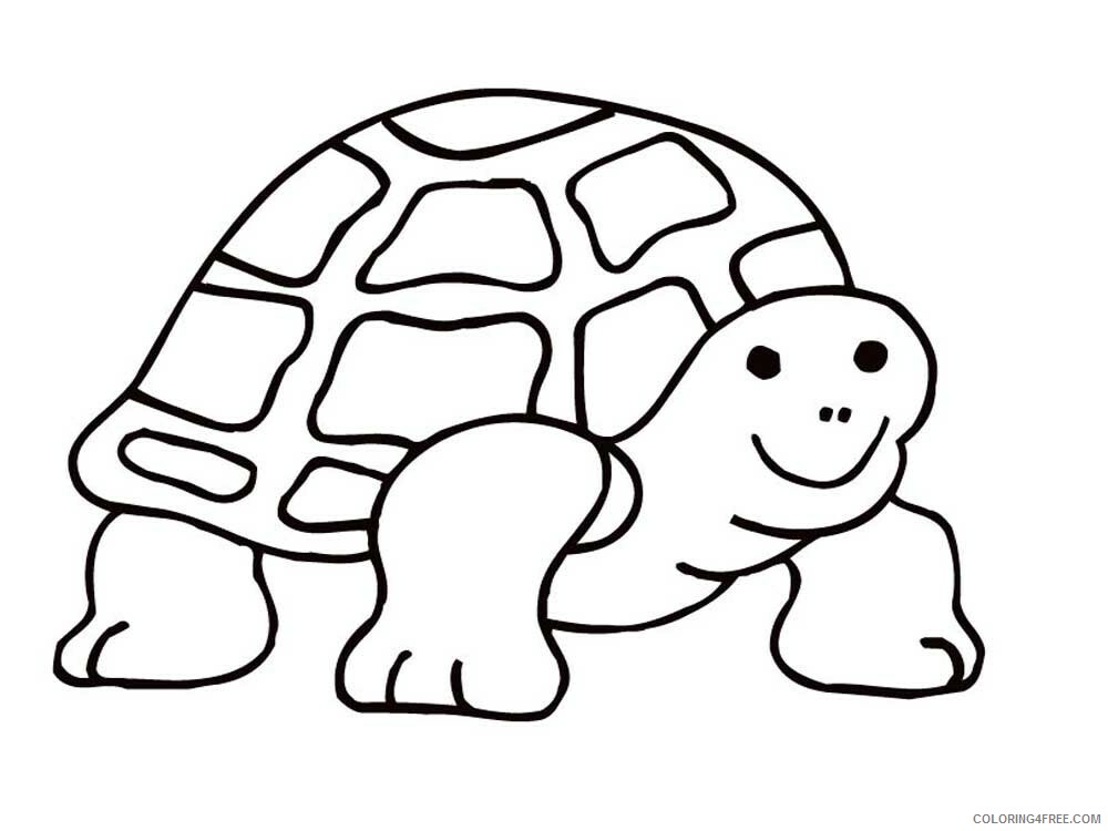 Tortoise Coloring Pages Animal Printable Sheets Tortoise 3 2021 4808 Coloring4free