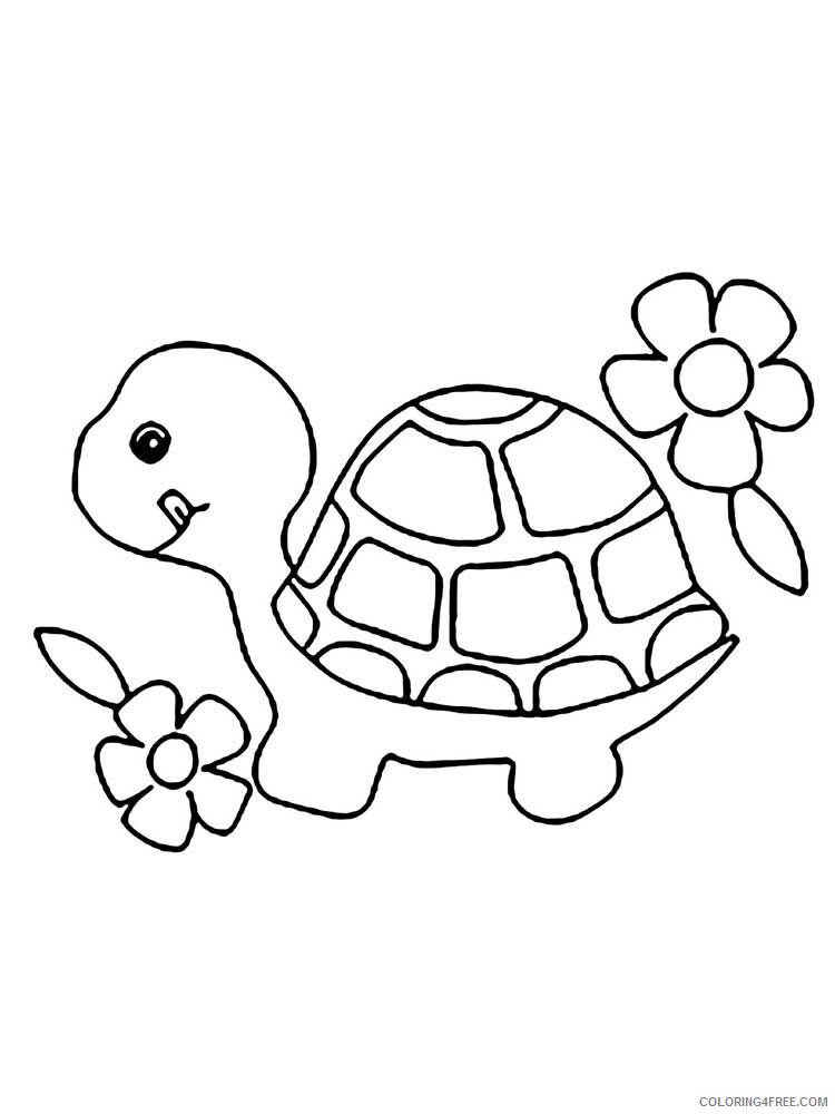 Tortoise Coloring Pages Animal Printable Sheets Tortoise 5 2021 4810 Coloring4free