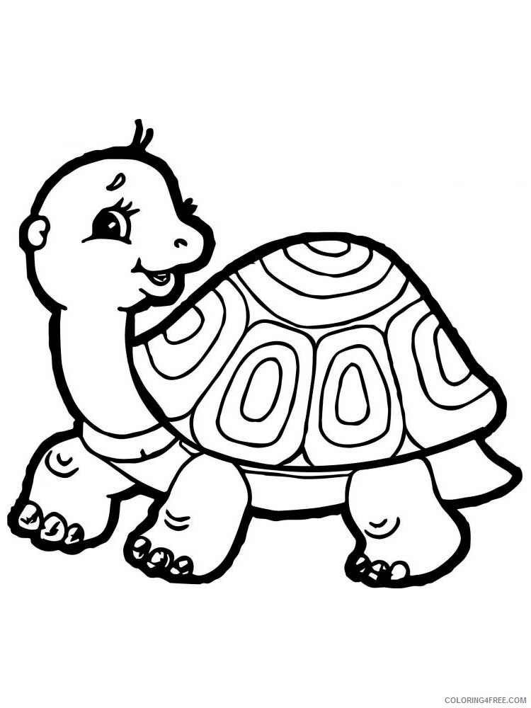 Tortoise Coloring Pages Animal Printable Sheets Tortoise 8 2021 4812 Coloring4free