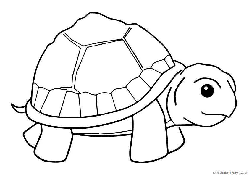 Tortoise Coloring Sheets Animal Coloring Pages Printable 2021 4408 Coloring4free
