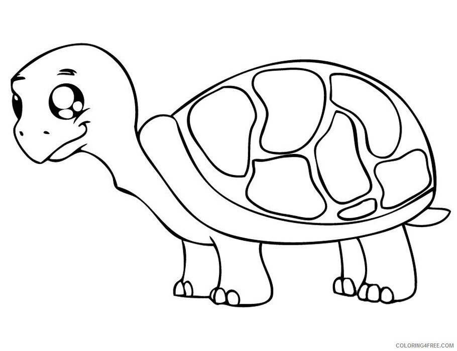 Tortoise Coloring Sheets Animal Coloring Pages Printable 2021 4409 Coloring4free