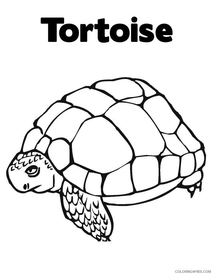 Tortoise Coloring Sheets Animal Coloring Pages Printable 2021 4411 Coloring4free