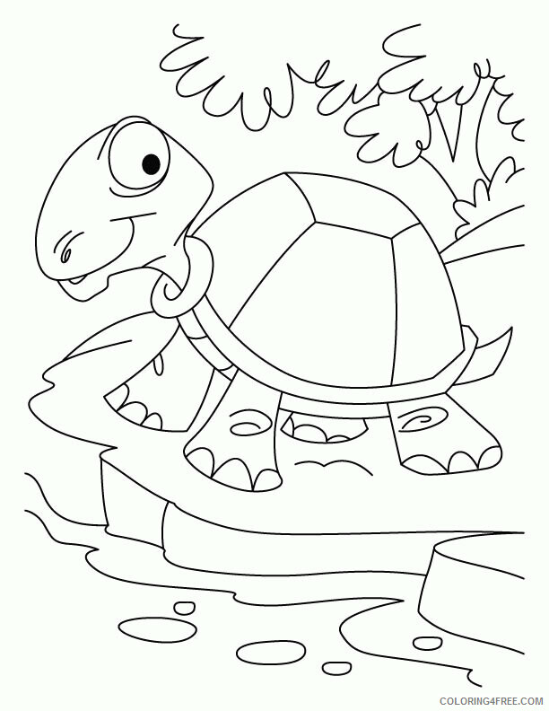 Tortoise Coloring Sheets Animal Coloring Pages Printable 2021 4412 Coloring4free