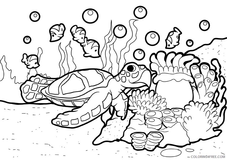 Tortoise Coloring Sheets Animal Coloring Pages Printable 2021 4418 Coloring4free