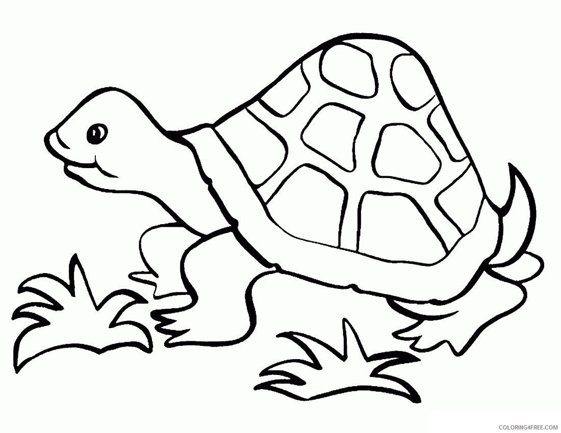 Tortoise Coloring Sheets Animal Coloring Pages Printable 2021 4419 Coloring4free