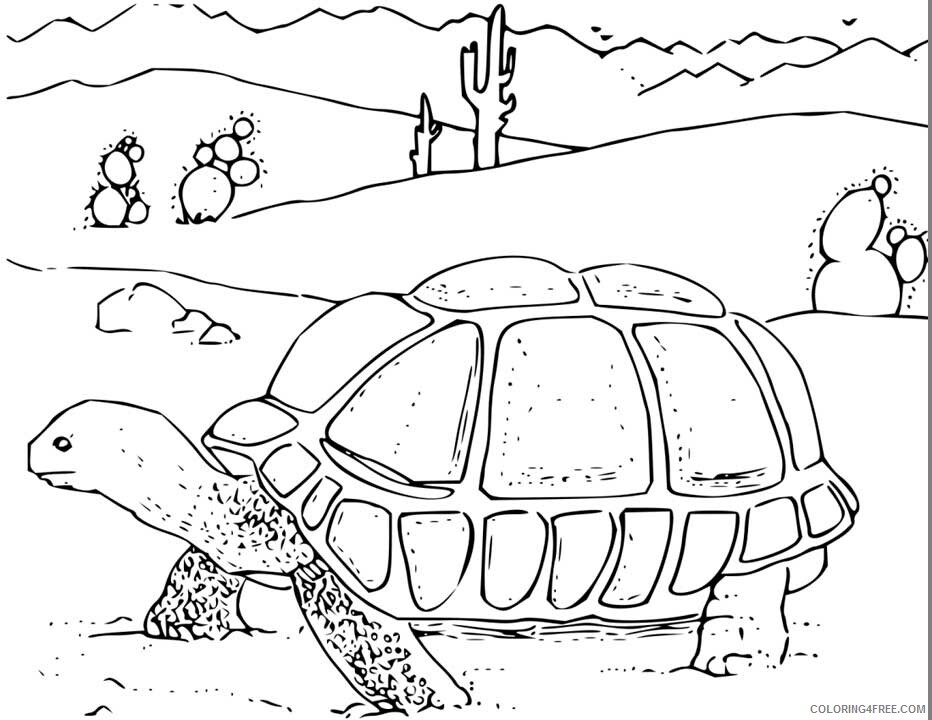 Tortoise Coloring Sheets Animal Coloring Pages Printable 2021 4421 Coloring4free