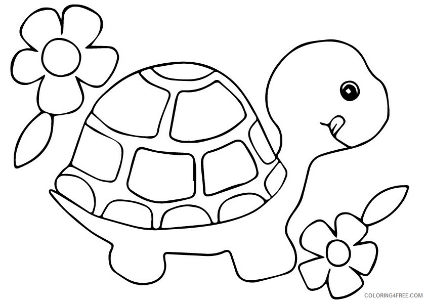Tortoise Coloring Sheets Animal Coloring Pages Printable 2021 4425 Coloring4free